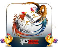 WS168Cockfighting
